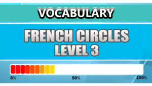 French Vocabulary Level 3