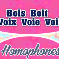 Homophones Bois Boit Voix Voie Voit