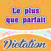 Le plus que parfait-French Dictation