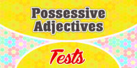 Possessive adjectives test 2