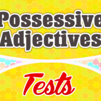 Possessive adjectives test 2