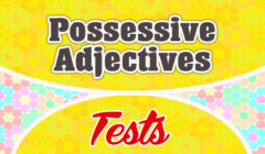 Possessive adjectives test 2