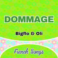 Dommage – Bigflo & Oli