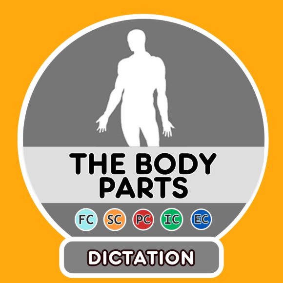 The body parts (words)