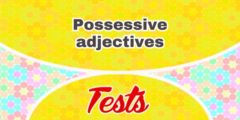 Possessive adjectives test 1