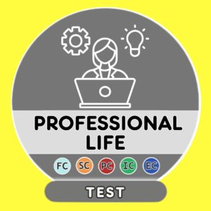 Professional life - Test