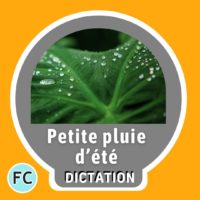 Petite pluie d’été dictation