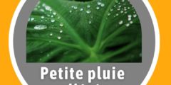 Petite pluie d’été dictation