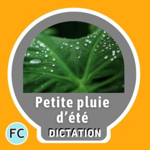 Petite pluie d'été dictation