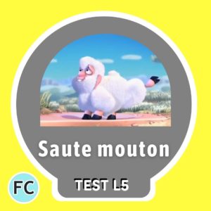 Saute Mouton – Boundin Test