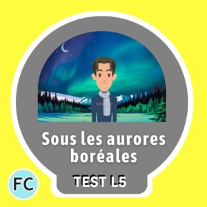 Sous les aurores boréales Test