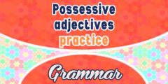 Possessive adjectives practice